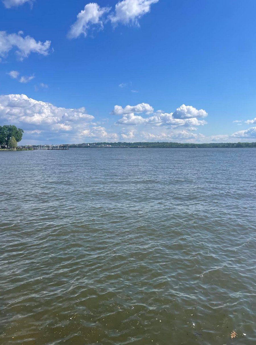 The Potomac River under a blue sky, with visibly murky water in the foreground.